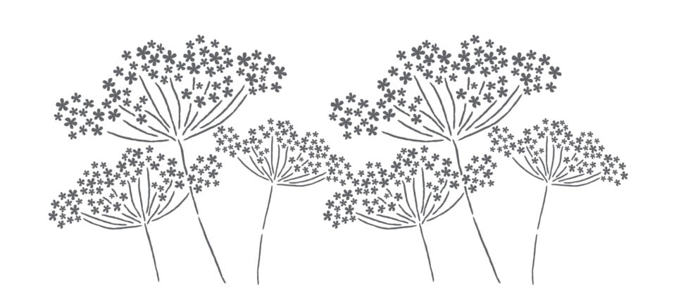 Cow Parsley Cake Stencil